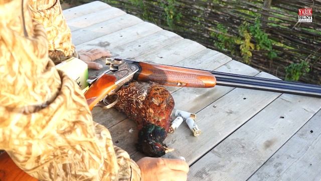 Каким номером дроби охотят фазана?Я, будучи противником крупных номеров дроби...