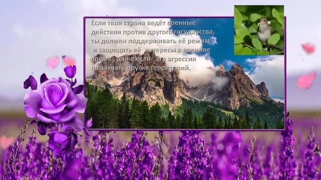 Матрица Гаряева для восстановления всех систем организма