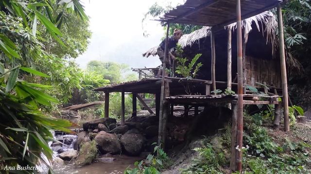 Full Video : Building Bamboo Houses, Gardening, Farm | 365 Days Living Off The Grid | ana bushcraf