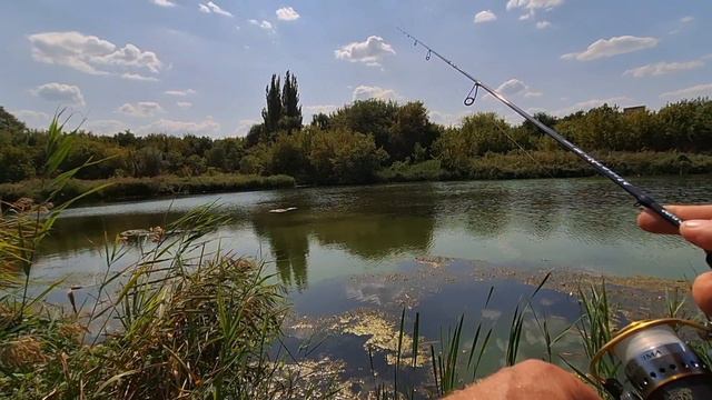 Мормышинг на спиннинг dayo magestic до 5 грамм