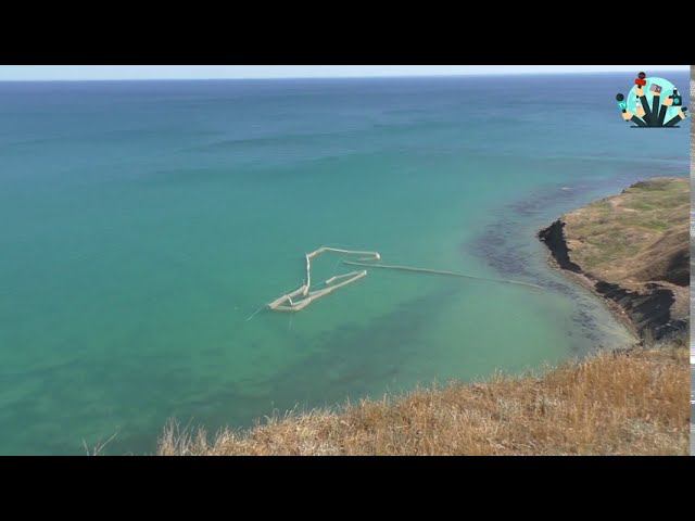 Алексей Коркищенко. Повесть "Полосатые чудаки". Читает Алексей Поляков