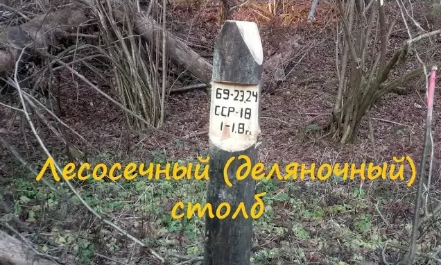 Cтолб лесосечный (деляночный).