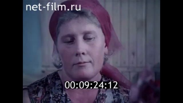 1983г. г. Камышин на Волге. прядильно- ткацкая фабрика. Волгоградская обл