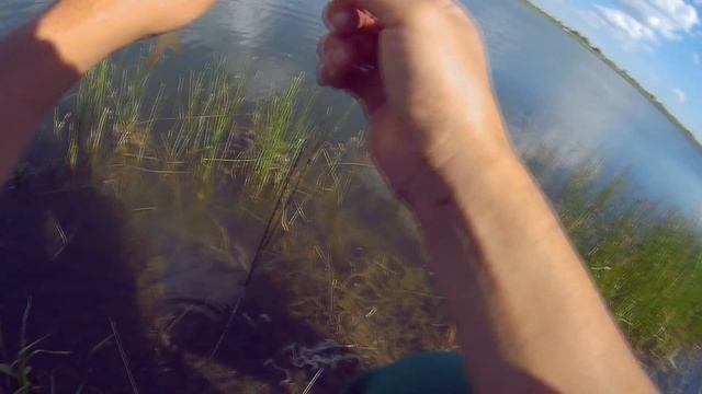 Фидергам на Поплавочке ? Не не слыщал. Рыбалка тонкой оснасткой.