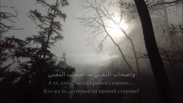 Сура 56 {Аль-Вакии} Чтец Билал Дарбали
