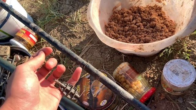 Карп на Макуху в Августе 2021 . Как ловить Карпа в Августе ! Снасть для ловли Крупных Сазанов !