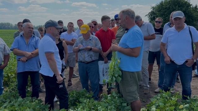 Дні поля з Дробязко: Система захисту квасолі