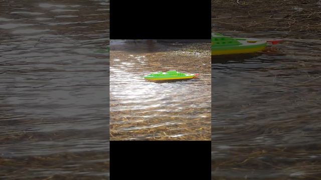 20240401_125556.mp4