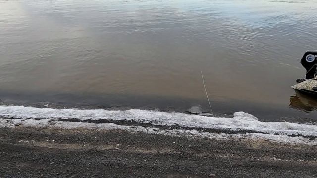 Ловля щуки в ноябре. Бешеный клев щуки на Амуре. Рыбалка на Амуре осенью.
