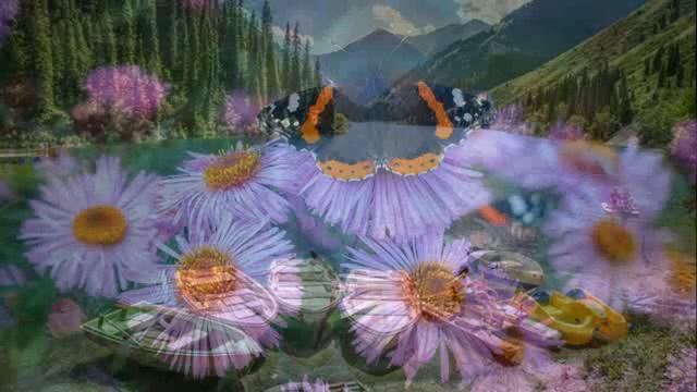 Экхарт Толле - 03. Как найти баланс, озвучивает [Nikosho].mp4