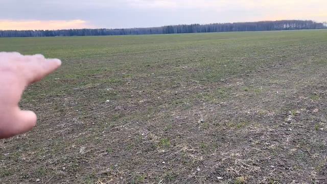 Охота на Гуся весна 2023.Утрянка LIFE.