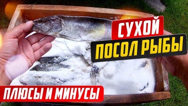 Сухой посол рыбы, вопросы и ответы, плюсы и минусы.mp4