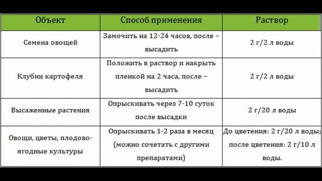 ЯНТАРНАЯ КИСЛОТА для рассады. Как применять, в чем польза