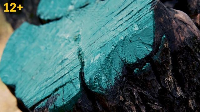 Разумное садоводство. 7 мифов, о которых вам нужно забыть