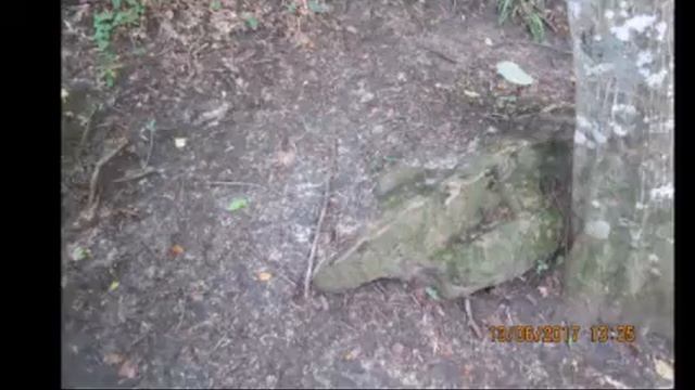 Второй день  Дольмены. Мудрец Млад. Мудрец Алон