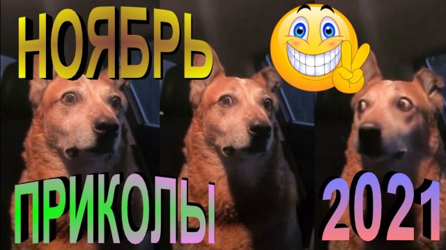 ПРИКОЛЫ 2021 САМЫЕ НОВЫЕ!!!!СМОТРЕТЬ ПРИКОЛЫ 2021!!!#20.mp4