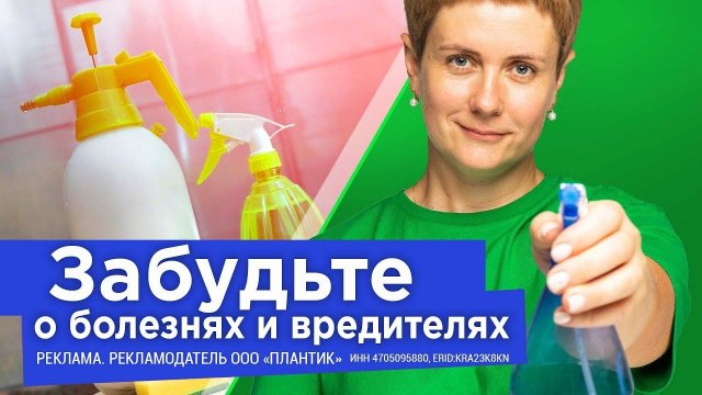 ВОТ ЧЕМ ОБРАБАТЫВАЮ ТЕПЛИЦУ ОСЕНЬЮ ОТ ВСЕХ БОЛЕЗНЕЙ И ВРЕДИТЕЛЕЙ!