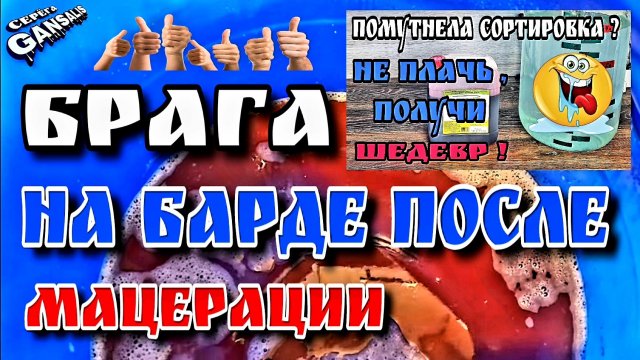 Ни грамма врагу , всё в дело . Брага на барде после мацерации концентрированного виноградного сока.
