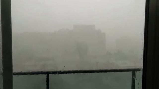 20 ТРЕНОЖНИКОВ СНЯТЫХ НА КАМЕРУ - Lion Channel