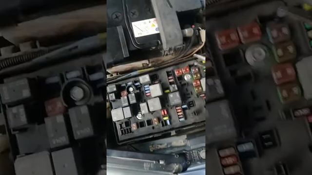 Шеврале Круз не заводится, даже стартер не крутит