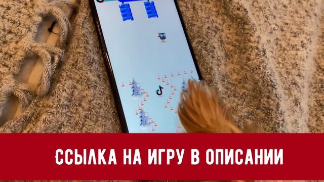 Как живет Злой Пес - MIKKIPIKI из TikTok