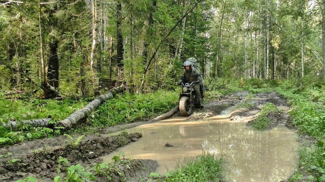 Нашёл лесное урочище / 1 часть #444