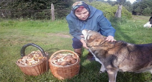 Одной корзинки не хватит