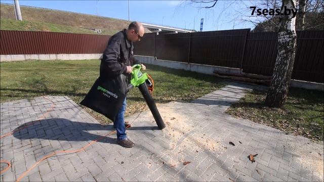 Садовый пылесос Greenworks GBV2800