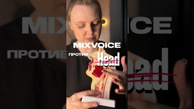 Mixvoice против head