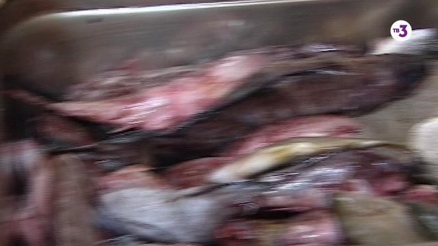 Далеко и еще дальше с Михаилом Кожуховым, 1 сезон, 27 серия