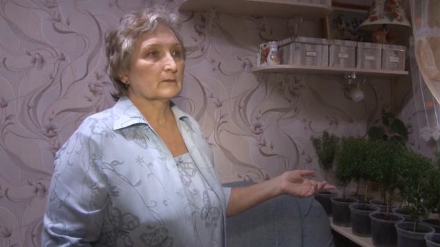 Как выращивать МИРТ