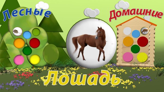 Крошка Матрешка/Домашние и лесные животные для малышей/Развивающий мультфильм для самых маленьких