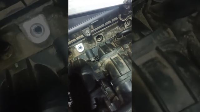 снятие и установка впускного коллектора Ford C-MAX, Focus. основные моменты.