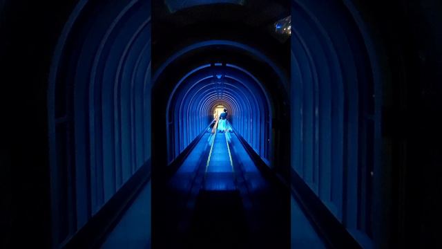 Tube
