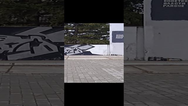 VID_20230425_160454.mp4