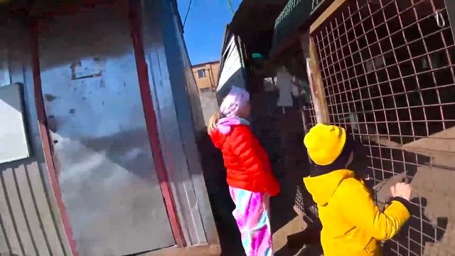 ДЕНЬ РОЖДЕНИЕ МИЛАНЫ! ЧТО ЗАДУМАЛА МИЛАНА 24 часа ДА! ОТКУДА СТОЛЬКО СОБАК!!