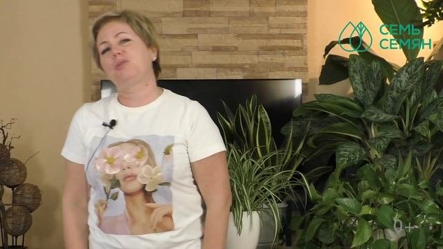 КОМНАТНОЕ ЦВЕТОВОДСТВО ДЛЯ НАЧИНАЮЩИХ! 5 САМЫХ НЕПРИХОТЛИВЫХ ЦВЕТКОВ!