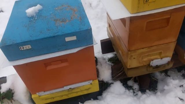ПОДГОТОВКА К ЗИМОВКЕ В ППУ УЛЬЯХ.