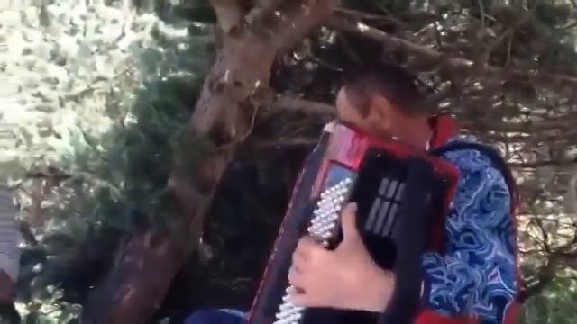 Аварская песня на баяне