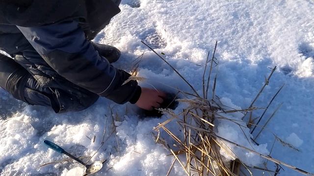 Ловля плотвы на косынку зимой!!!!!