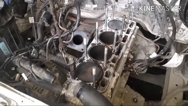 Стук двигателя Evotech (A274), разборка и причина (Часть-1)