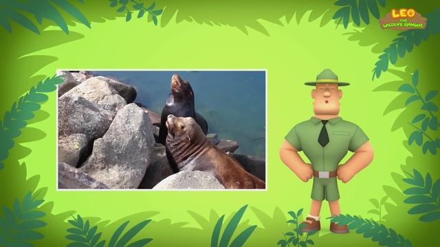 Marine Animals (Part 1/2) - Dugong and more sea animal stories!