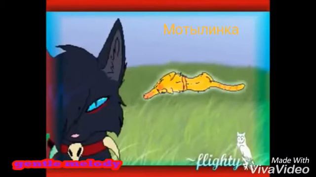Коты Воители Бич клип