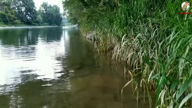 Ловля Раков Осенью. Где искать Раков на водоёме?