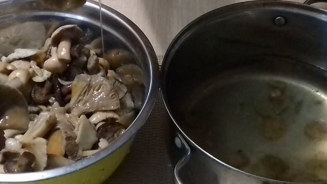 РЕЦЕПТ ЗАСОЛКИ ГРИБОВ ГОРЯЧИМ СПОСОБОМ