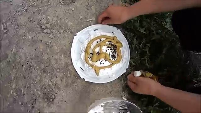 На что готов мужик ради 300 руб \ Торт с горчицей \ Селёдка