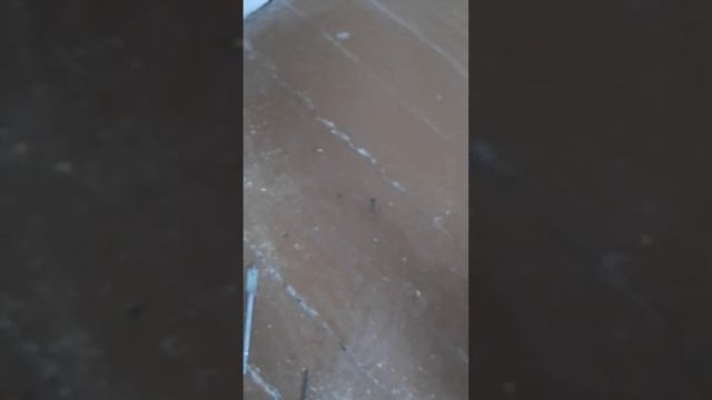 Протяжка пола в хрущёвке. Частично избавляемся от скрипа. Демонстрация одного из способов протяжки.