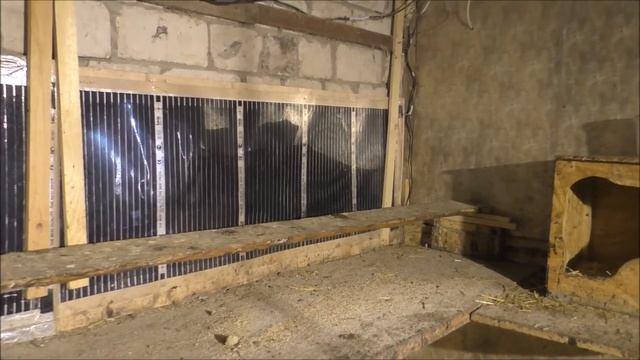 Тёплые полы в курятнике...