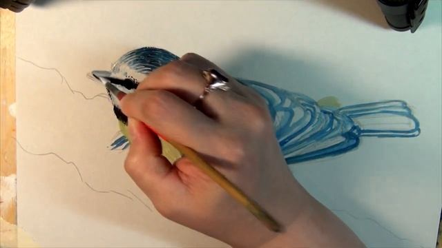 Птичка Синичка #акварель #птицы #синичка