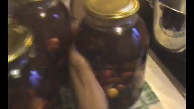 делаем компот из терна